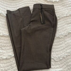 Express Editor Pants NWT